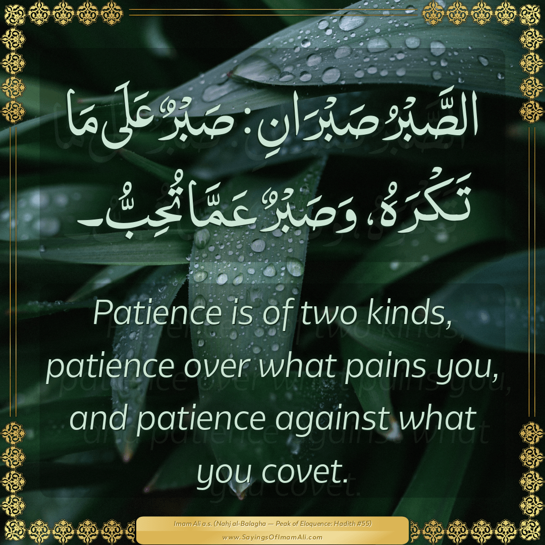 Patience is of two kinds, patience over what pains you, and patience...